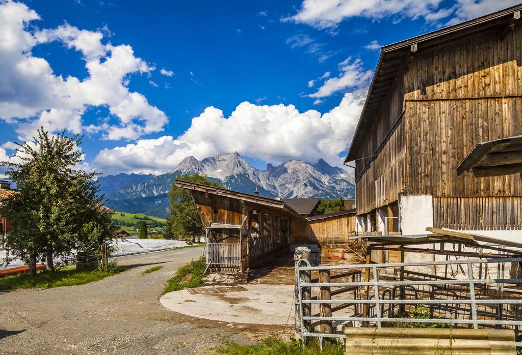 Ferienwohnung Oergenbauer Saalfelden Exterior foto